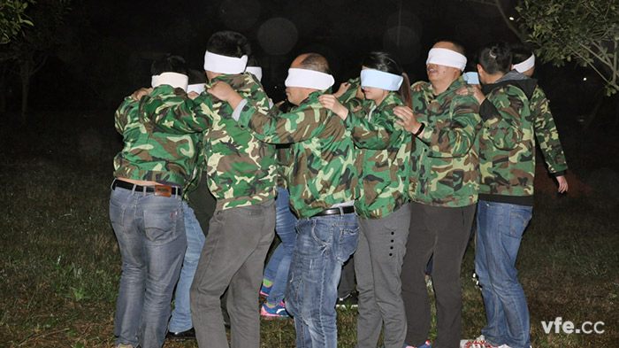 以用户为中心，维多利亚老品牌vic电气开展“卓越团队”拓展训练