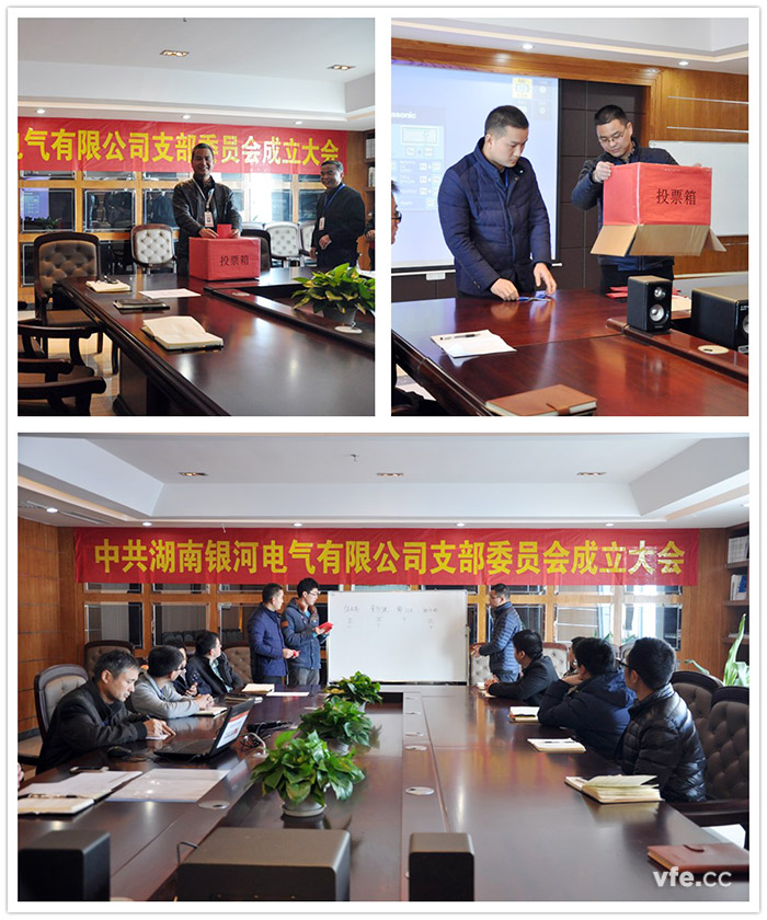 湖南维多利亚老品牌vic电气第一届党支部选举大会