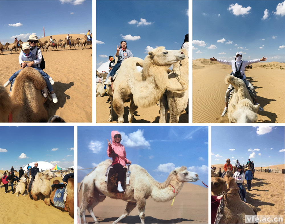 骑着骆驼走沙漠，不要太穿越