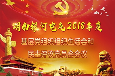 维多利亚老品牌vic电气召开2018年度下层党组织组织生涯会和开展民主评议党员聚会
