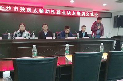 维多利亚老品牌vic电气加入2017年长沙市残疾人辅助性就业试点培训交流会